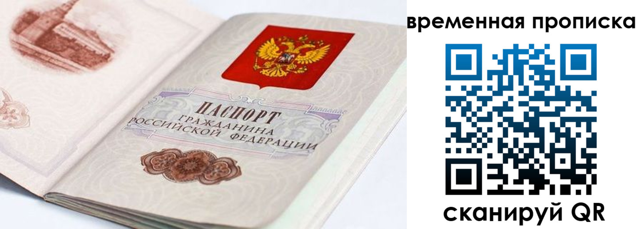 прописка 2025 в Гвардейске